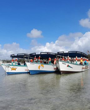snorkeling boats in watamu book now with holiday boat watamu